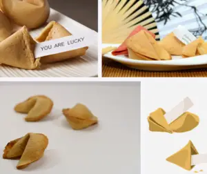 Fortune Cookies