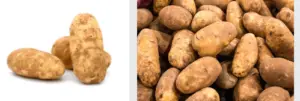 Idaho potatoes