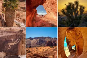 Interesting facts about Gold Butte National Monument