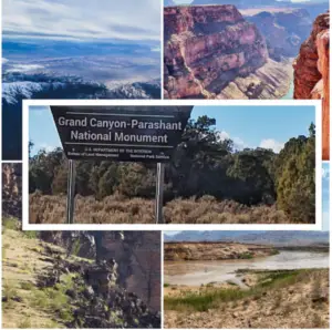 Interesting facts about Grand Canyon–Parashant National Monument