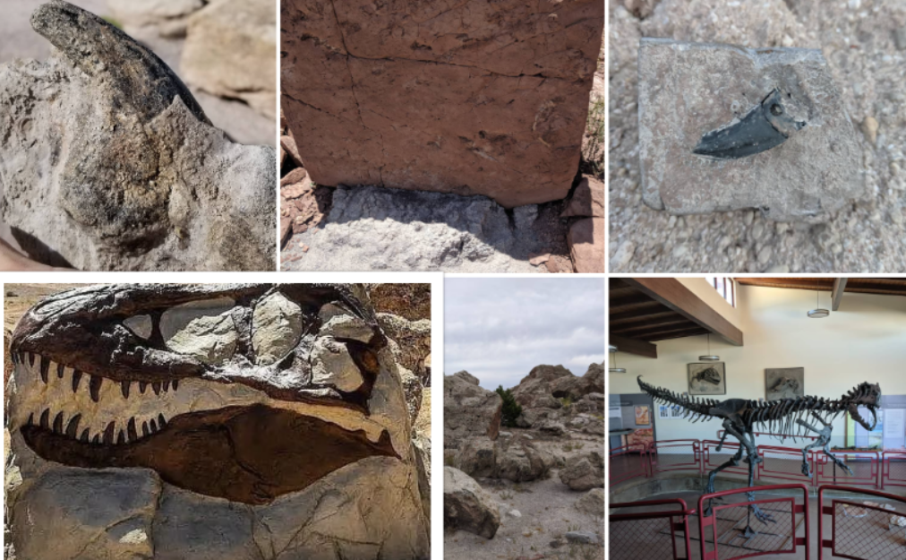 Utah – Jurassic National Monument : Interesting Facts, History & Travel Guide