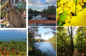 Katahdin Woods and Waters National Monument Facts