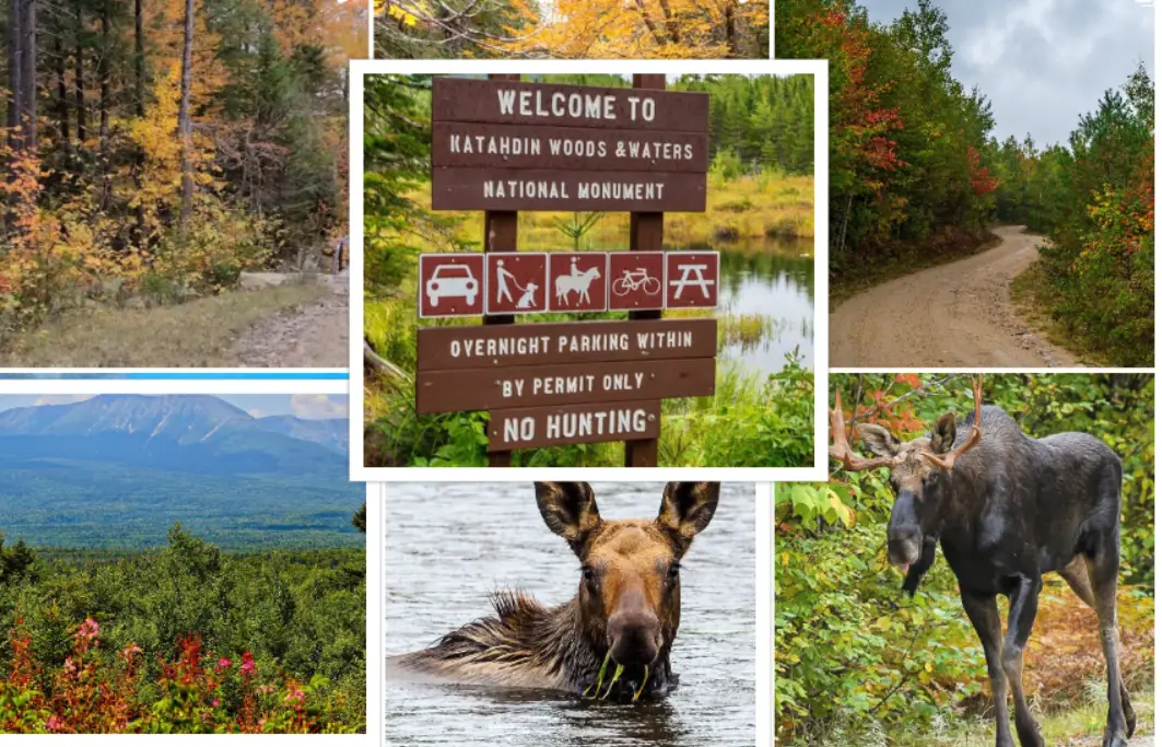 Katahdin Woods and Waters National Monument : Interesting Facts, History &#038; Travel Guide