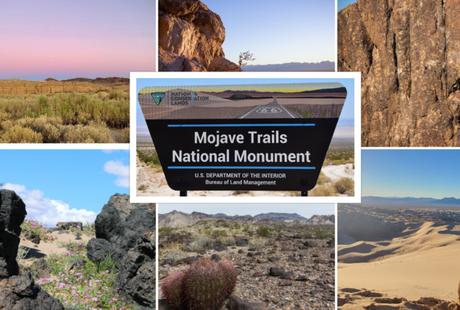 Mojave Trails National Monument : Interesting Facts, History & Travel Guide