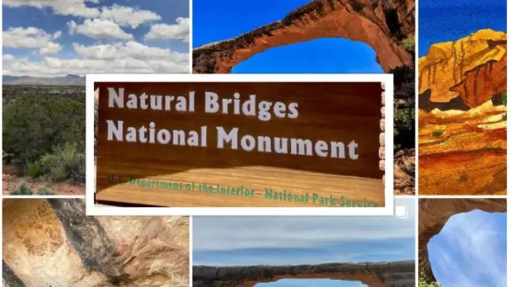 Natural Bridges National Monument : Interesting Facts, History & Travel Guide