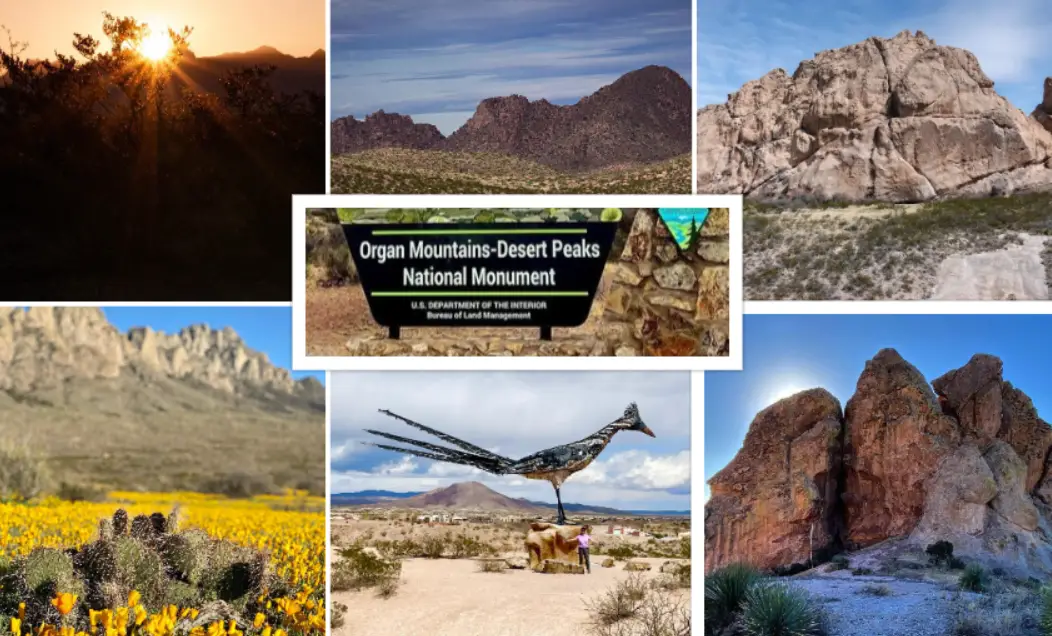 Organ Mountains–Desert Peaks : Interesting Facts, History & Travel Guide