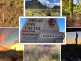 Organ Pipe Cactus National Monument