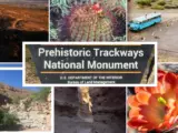 Prehistoric Trackways National Monument