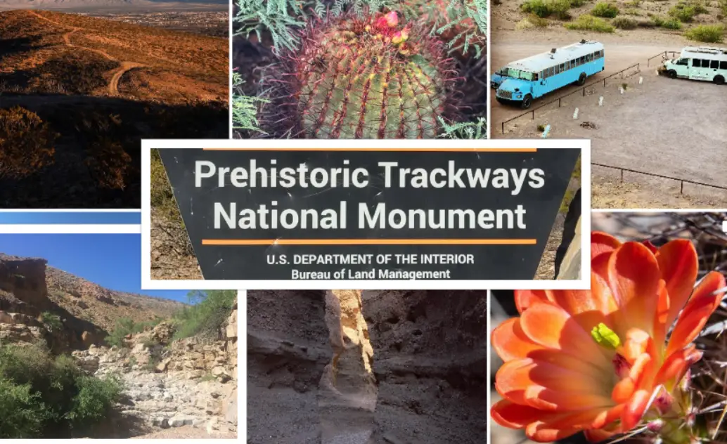 Prehistoric Trackways National Monument : Interesting Facts, History & Travel Guide