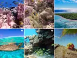 Rose Atoll Marine National Monument