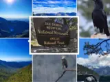 San Gabriel Mountains National Monument