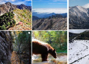 San Gabriel Mountains National Monument Travel Guide