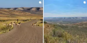Travel Guide for Fossil Butte National Monument