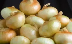 Vidalia Onion