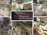 Waco Mammoth National Monument