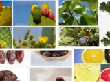 What fruit is Arizona known for