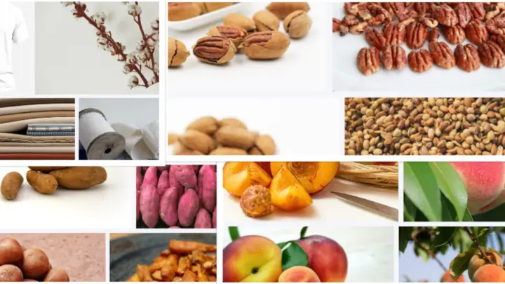 What is Alabama Known for Producing? | Fruits and vegetables that Grow in Alabama