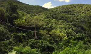 Antigua Rainforest Canopy Tour