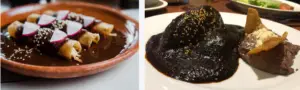 Mole Negro