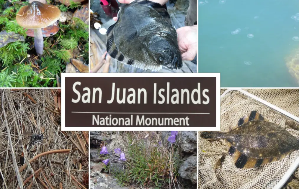 San Juan Islands National Monument : Interesting Facts, History & Travel Guide