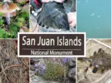 San Juan Islands National Monument