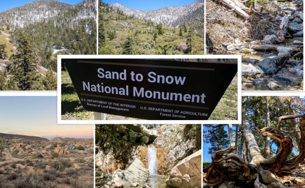 Sand to Snow National Monument : Interesting Facts, History & Travel Guide