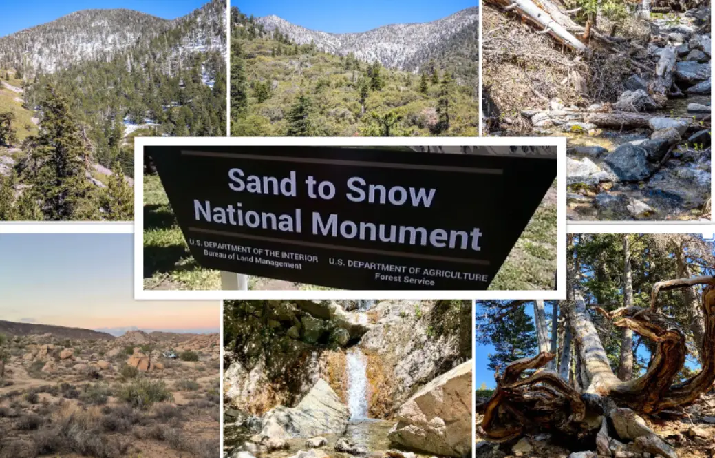 Sand to Snow National Monument : Interesting Facts, History &#038; Travel Guide