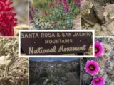 Santa Rosa and San Jacinto Mountains