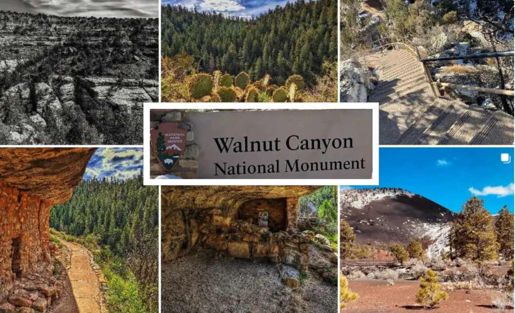 Walnut Canyon National Monument : Interesting Facts, History & Travel Guide