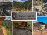 Walnut Canyon National Monument