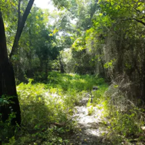 ashford-park-nature-trail