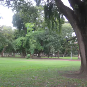 big-trees-park