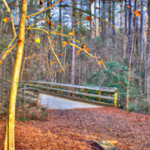 dunwoody-nature-center-&-park