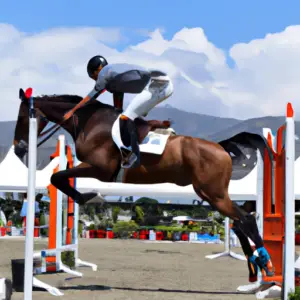 international-jumping-stallions-competition-ensenada