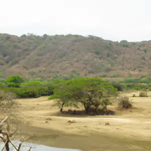 la-briseida-conservation-unit