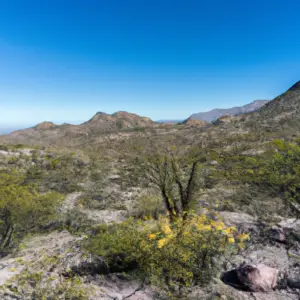 la-encrucijada-biosphere-reserve