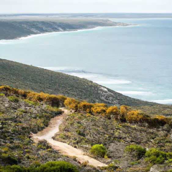 Kangaroo Island : Interesting Facts, Information &#038; Travel Guide