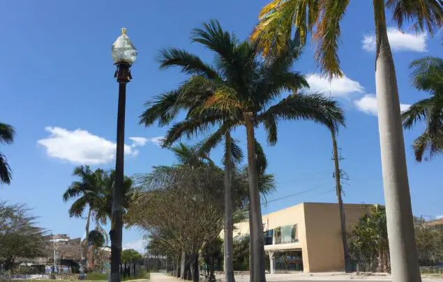 what is Kendall, FL known for | what is Kendall famous for