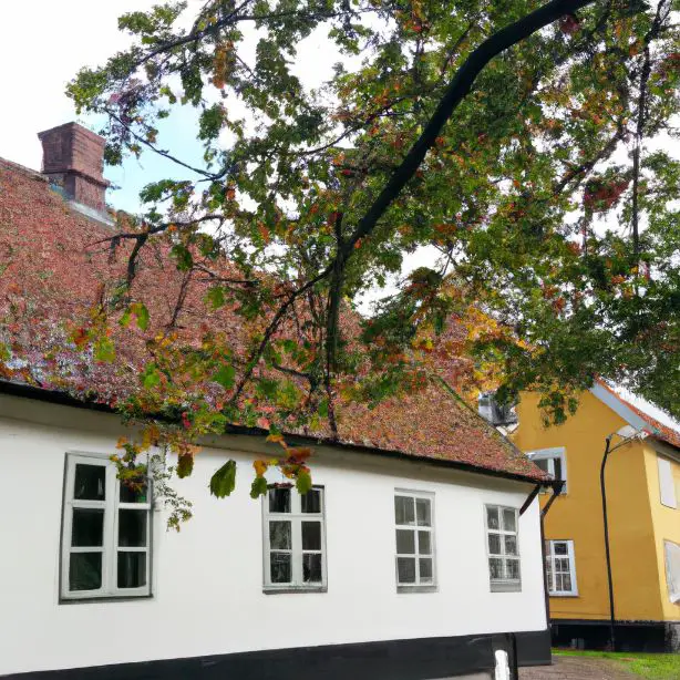 Næstved, City : Best Tourist Attractions, What To Do &#038; What To Eat