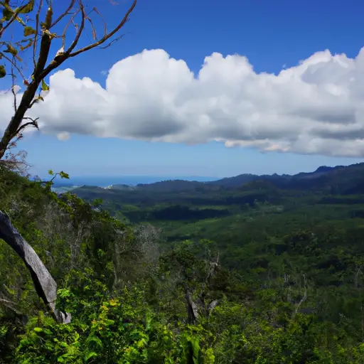 Parque Nacional Sierra de Bahoruco &#8211; Barahona : Interesting Facts, Information &#038; Travel Guide