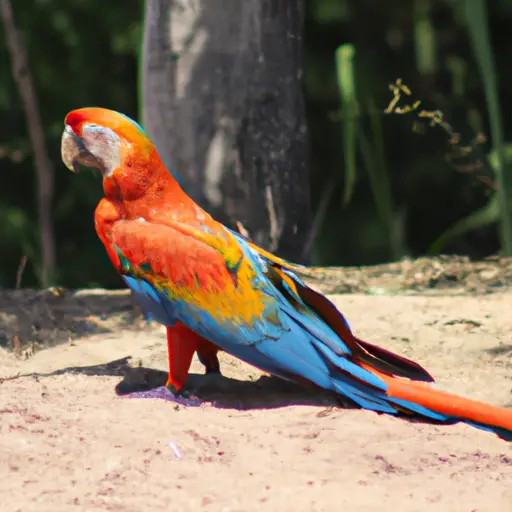 Parque Zoológico Nacional &#8211; Santo Domingo : Interesting Facts, Information &#038; Travel Guide