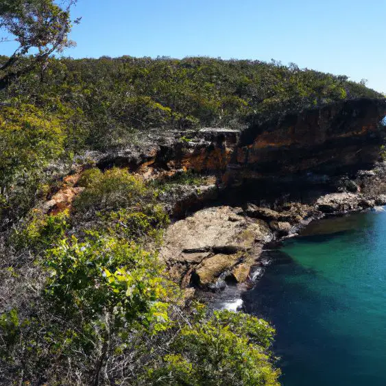 Royal National Park : Interesting Facts, Information &#038; Travel Guide