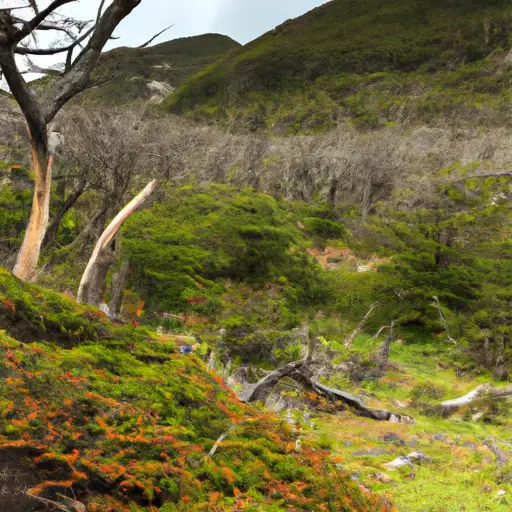 Tierra del Fuego National Park, Tierra del Fuego : Interesting Facts, Information &#038; Travel Guide