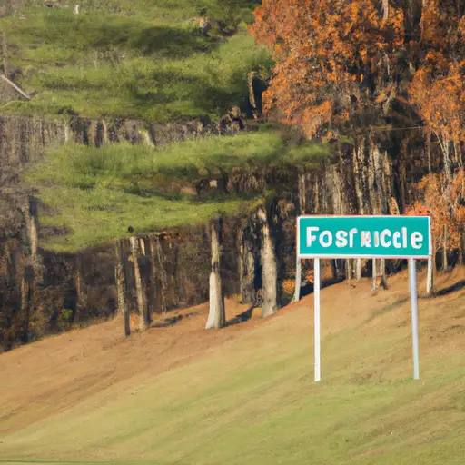 Forestdale City : Interesting Facts, History &#038; Information